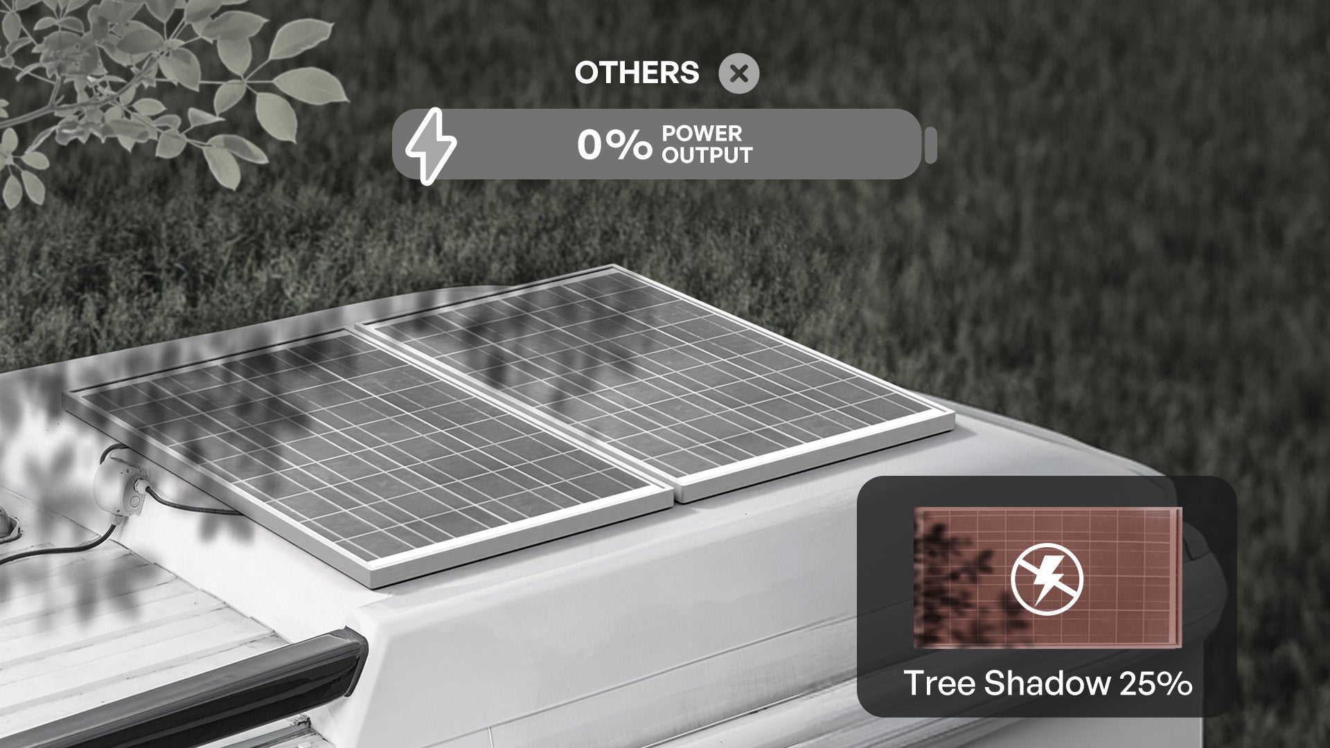 Conventional panel comparison under tree shadow