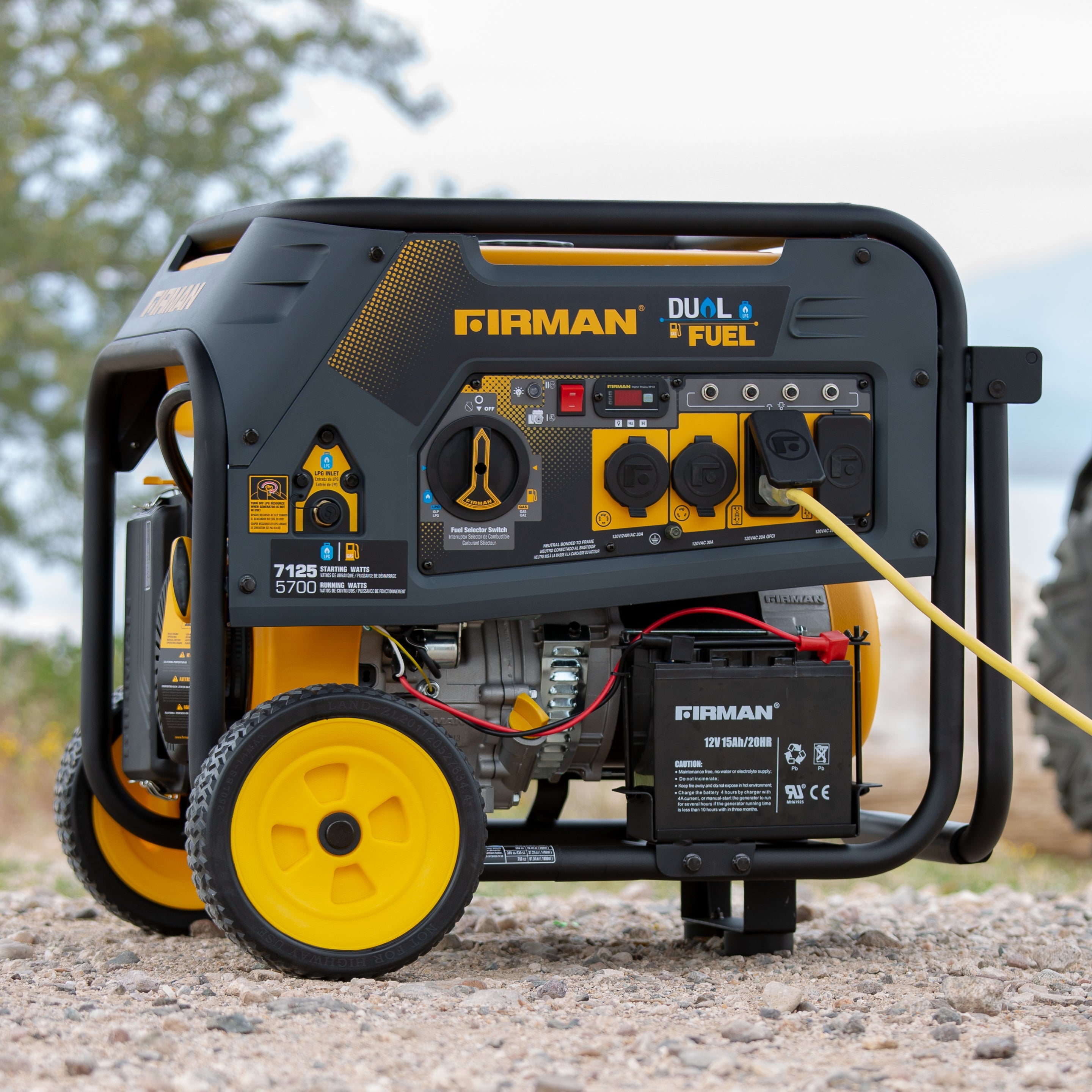 Dual Fuel Portable Generator 7125/5700W Electric Start 120/240V