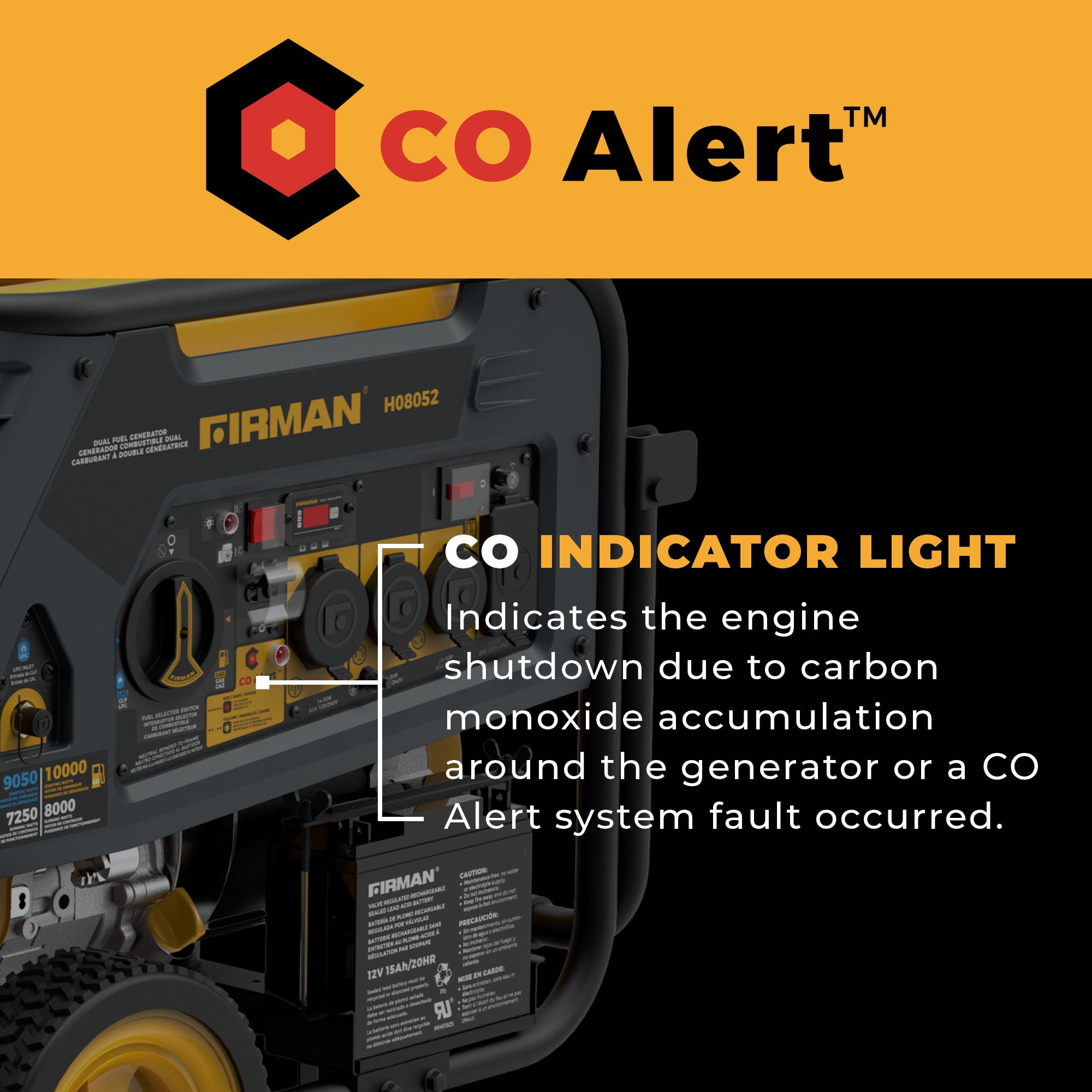 Dual Fuel Portable Generator 10000/8000W Electric Start 120/240V with CO alert