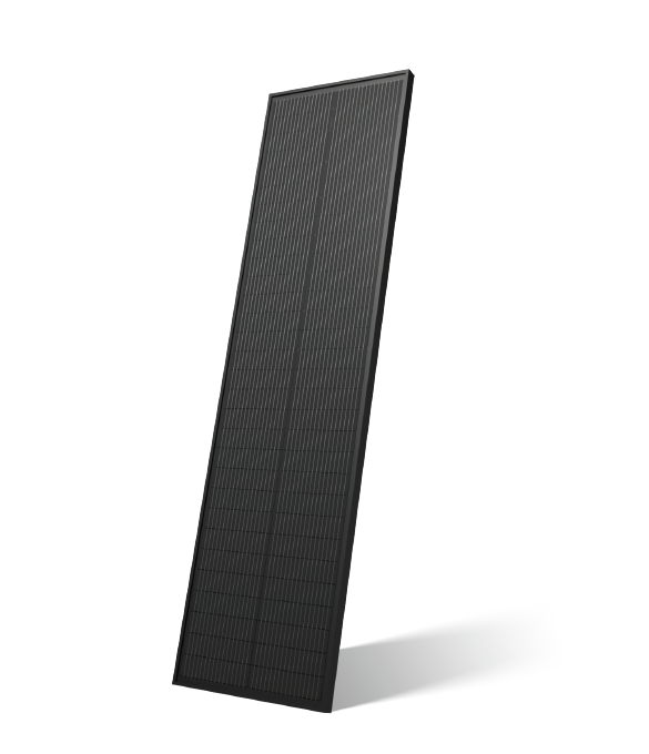 Renogy 100W 12V Slim Monocrystalline PERC Solar Panel