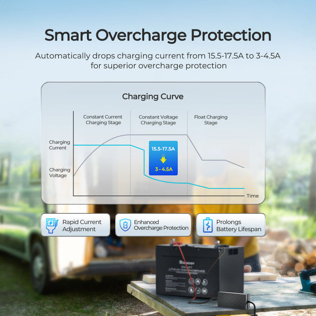 Renogy 12V 20A AC to DC LFP Portable Battery Charger