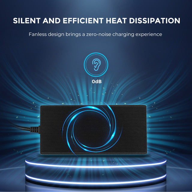 Renogy 12V 20A AC to DC LFP Portable Battery Charger