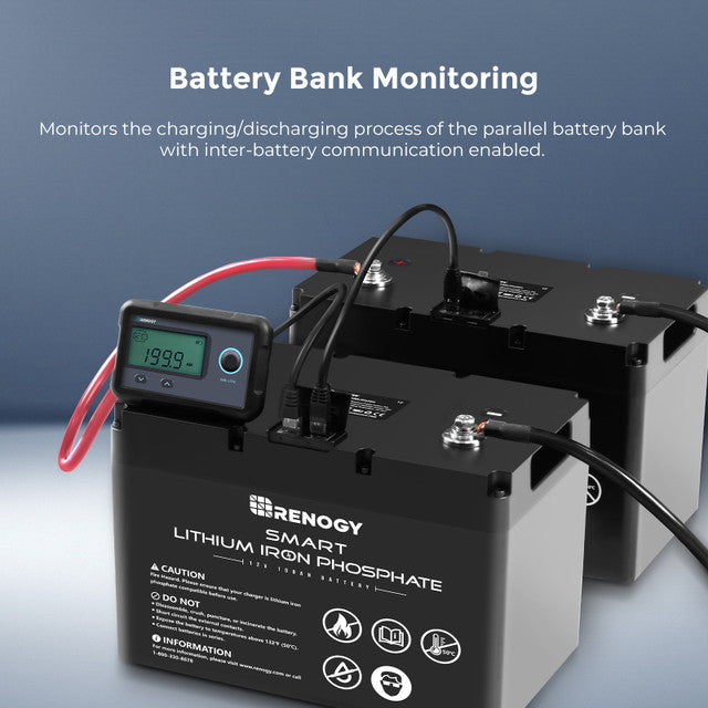 Renogy Monitoring Screen for Smart Lithium Battery